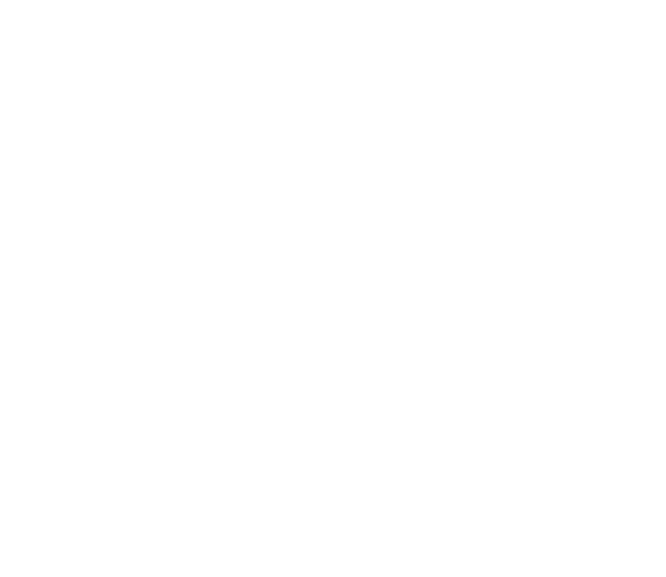SoftStart Cybersecurity Program